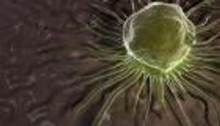  لأول مرة في بريطانيا.. أول عملية لحقن المخ بالخلايا الجذعية