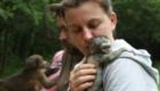 محكمة في جنوب إفريقيا تصدر حكمًا لصالح 50 قردًا.. تعرف عليه