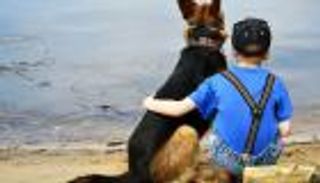 دراسة: وجود الحيوانات الأليفة بالمنزل يقلل خطر الإصابة بالربو