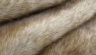 منعًا للقسوة.. بيت "أزياء إيطالي" يوقف استخدام فراء الحيوانات‎ 