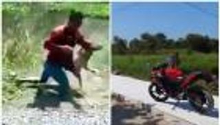 بالفيديو.. معركة بين رجل وقرد من أجل "الكرامة"