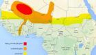 القاعدة وداعش في إفريقيا.. صراع نفوذ بلون الدم