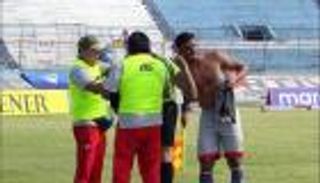 بالفيديو.. غزو النحل يتسبب في تأجيل مباراة بالإكوادور