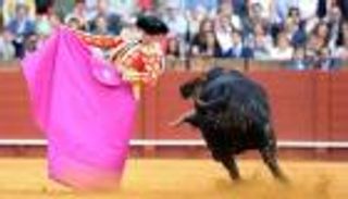 حظر مصارعة الثيران قد يكلف إسبانيا 3.6 مليار يورو سنويًا