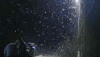 بالفيديو .. "الفراشات" تغزو مباراة في البرازيل