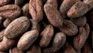 "حبوب الشوكولاتة".. منتج جديد بلا "سعرات" يحمي القلب ويثير الجدل