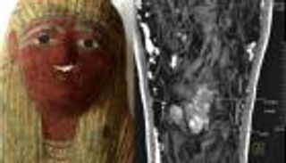 اكتشاف أصغر مومياء في العالم