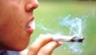 24 مليار يورو للمخدرات بأوروبا.. فما هو العشب الأكثر طلبا؟