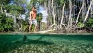 بالصور والفيديو.. امتلك فندقا على جزيرة رائعة مقابل 49 دولارا