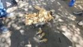 16 قتيلا في هجوم على منتجع بساحل العاج.. والقاعدة تتبنى