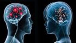 عقل النساء أكثر تعقيدا ويحتجن للنوم أزيد من الرجال