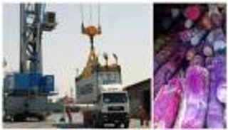 جمارك عجمان تحبط تهريب 20 طنًّا من نبات الصندل