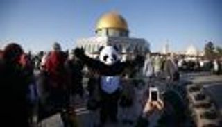 بالصور ..فرحة العيد في فلسطين تتحدى حواجز الاحتلال