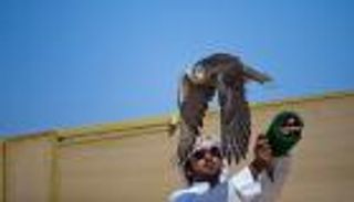 انطلاق بطولة فزاع للصيد بالصقور التلواح 2 يناير