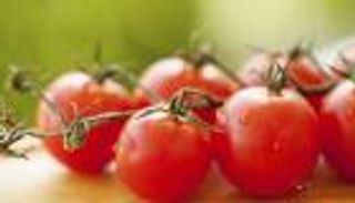 10 كنوز في الطماطم الحمراء.. الدرع الواقي للصحة