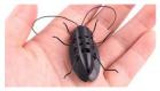 "كرام".. الروبوت الصرصور يهب لنجدة المحتاجين