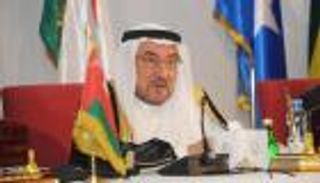 مدني: التدخل في شؤون الأعضاء يخل بميثاق