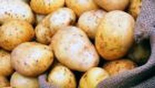 احذري.. تخزين البطاطس السيء يصيبك بالسرطان