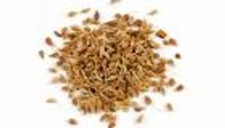 على ذمة الألمان: أفضل مشروب للمرأة المرضعة.. ما هو؟