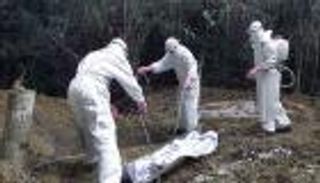 فتاة صغيرة رابع ضحية لـ"الايبولا" في غينيا