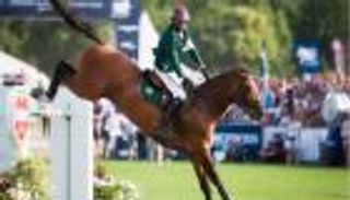 حصان ملك المغرب ينافس في ريو