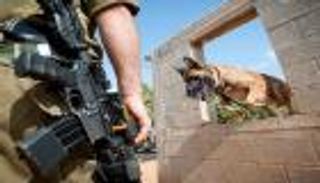 قوة الكلاب .. وحدة إسرائيلية تزرع الخوف بالنهش والتفتيش