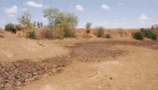 جفاف الأنهار في الصومال يهدد معيشة عشرات الآلاف