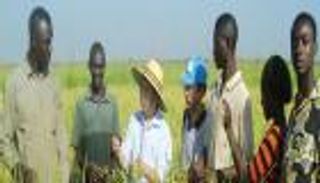 الصين تعرض على نيجيريا 6 مليارات دولار لتمويل البنية التحتية