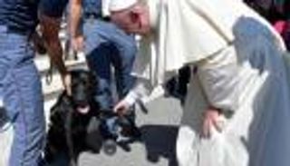 بالصور.. الكلب المعجزة ليو.. صافح البابا وميركل ورينزي