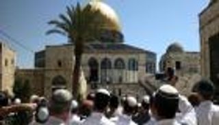 271 مستوطنًا يقتحمون الأقصى في آخر أيام 