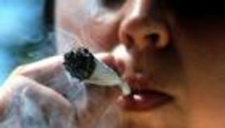 الفرنسيون ينفقون 2.3 مليار يورو سنويا على المخدرات.. والحشيش يتربع