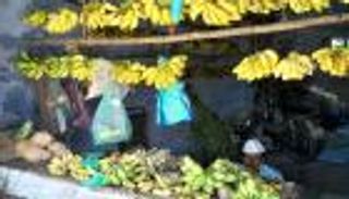 40 موزة لاستخراج قلادة ذهبية من بطن سارق بالهند