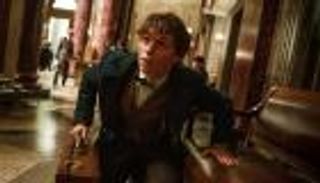 فيديو.. عالم 