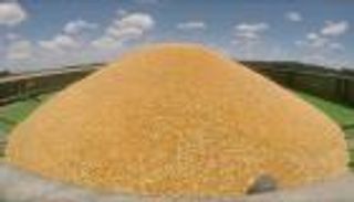 إنفوجراف.. أرقام