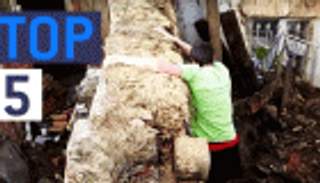 فيديو.. 5 مواقف مرعبة للفشل تتحول إلى مناسبات للضحك