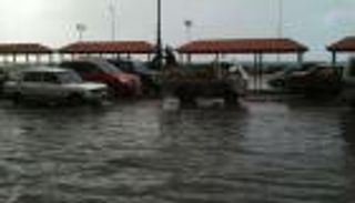 حمار وعوامة وكراسي موسيقية.. مشاهد ساخرة بأمطار الإسكندرية