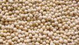 علب الأغذية المحفوظة تؤخّر الإنجاب.. والصويا تحمي النساء