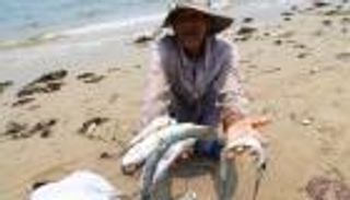 مظاهرات نادرة في فيتنام بسبب نفوق غامض للأسماك