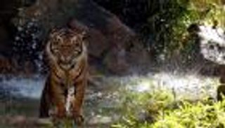 بالصور.. أكثر من 250 فصيلة في حديقة حيوان لوس أنجلوس