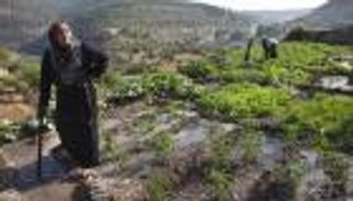 100 ألف زائر لـ