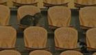 القطط بديلاً للجماهير في الملاعب المصرية