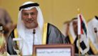 قرقاش: دور قواتنا المسلحة مستمر مع السعودية حتى إنتهاء الحرب