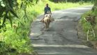 بالفيديو.. "مكتبة حصان" تنشر المعرفة في مناطق إندونيسية نائية