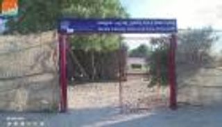 بالفيديو.. الرفق بالحيوان قبل الإنسان في غزة