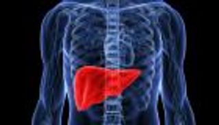 الاختبارات السريعة سلاح فعال لمواجهة أمراض الكبد