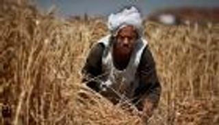 النائب العام المصري يأمر بضبط مرتكبي 