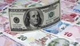 دولارات الأتراك محاولة جديدة لإنقاذ الاقتصاد