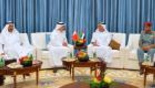 سيف بن زايد يلتقي وزير داخلية البحرين