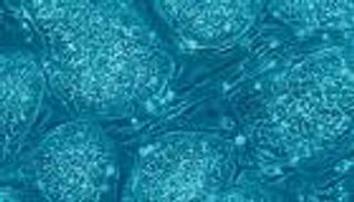 بالفيديو: 10 اكتشافات علمية مذهلة في 2016