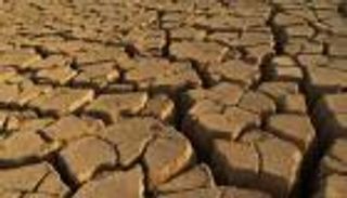 المزارعون يستغيثون.. العطش يهدد حقول الأرز في مصر